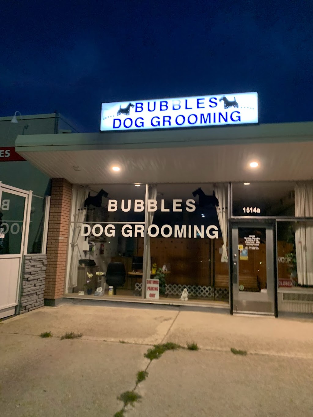 Bubbles Dog Grooming | 1514 9 Ave S, Lethbridge, AB T1J 3A3, Canada | Phone: (403) 329-1231