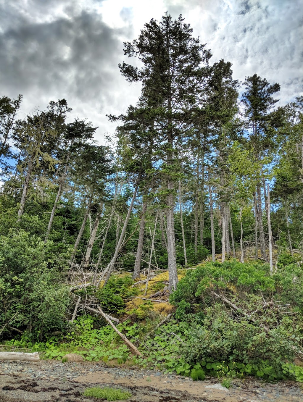 Second Peninsula Provincial Park | 781 Second Peninsula Rd, Lunenburg, NS B0J 2C0, Canada