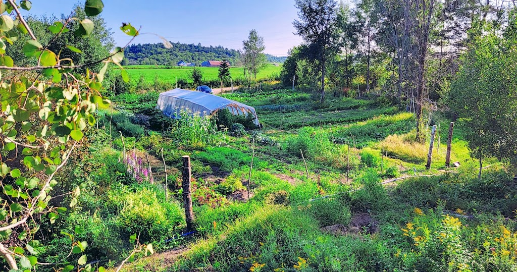 Jardin des Collines-de-lOutaouais | 4 Chem. Foley, Cantley, QC J8V 3H5, Canada | Phone: (514) 677-4148