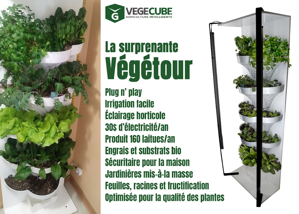 Végécube inc. | 342 Chem. Lapointe, Sainte-Jeanne-dArc, QC G0W 1E0, Canada | Phone: (418) 637-9551