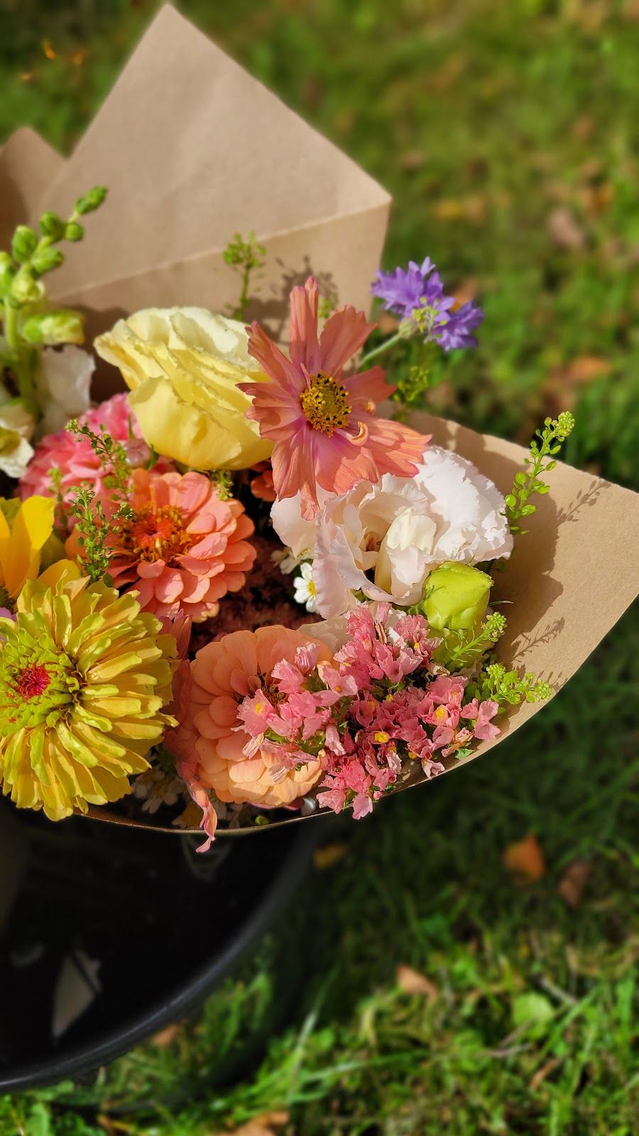 re.Planted Farm & Florals | 36 Wolfe Ave, Deep River, ON K0J 1P0, Canada | Phone: (343) 303-5455