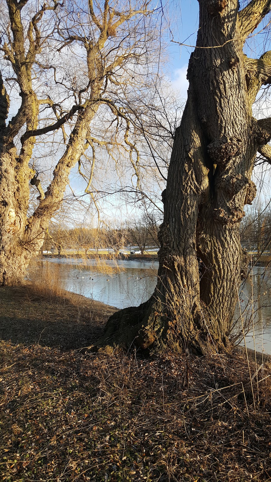 North Shore Park | Stratford, ON N5A, Canada