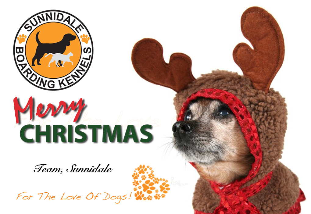 Sunnidale Boarding Kennels | 9343 County Rd 10, Angus, ON L0M 1B2, Canada | Phone: (705) 424-3483