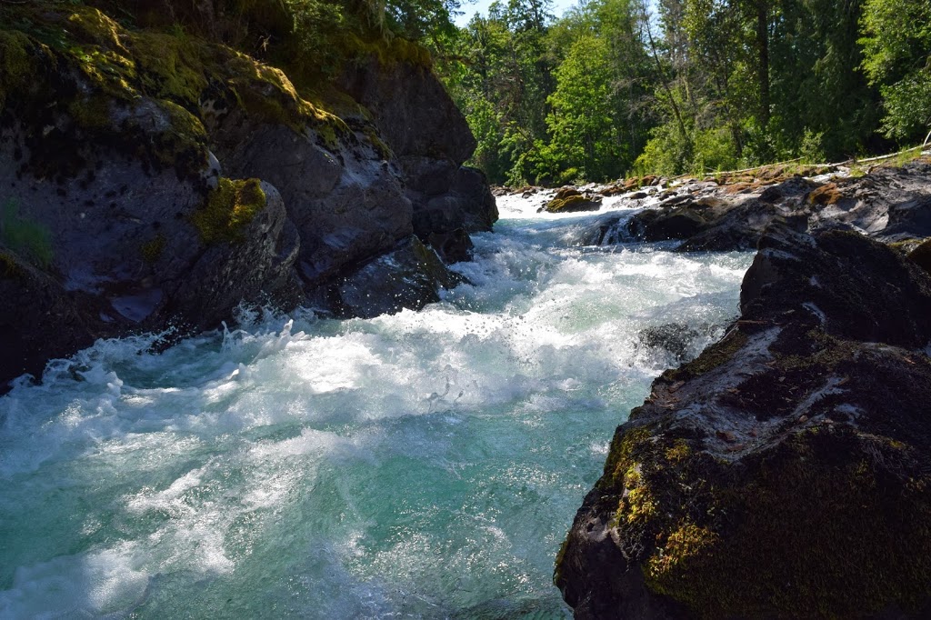 Cowichan Lake Visitor Centre | 125C S Shore Rd, Lake Cowichan, BC V0R 2G0, Canada | Phone: (250) 749-3244