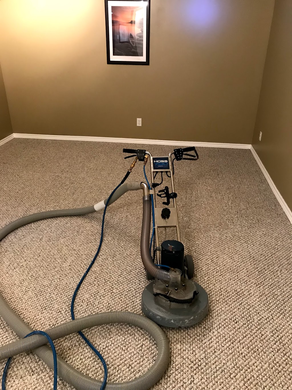 Quality Carpet Cleaners | 1 Starling Crescent, Nepean, ON K2J 2N7, Canada | Phone: (613) 302-0563