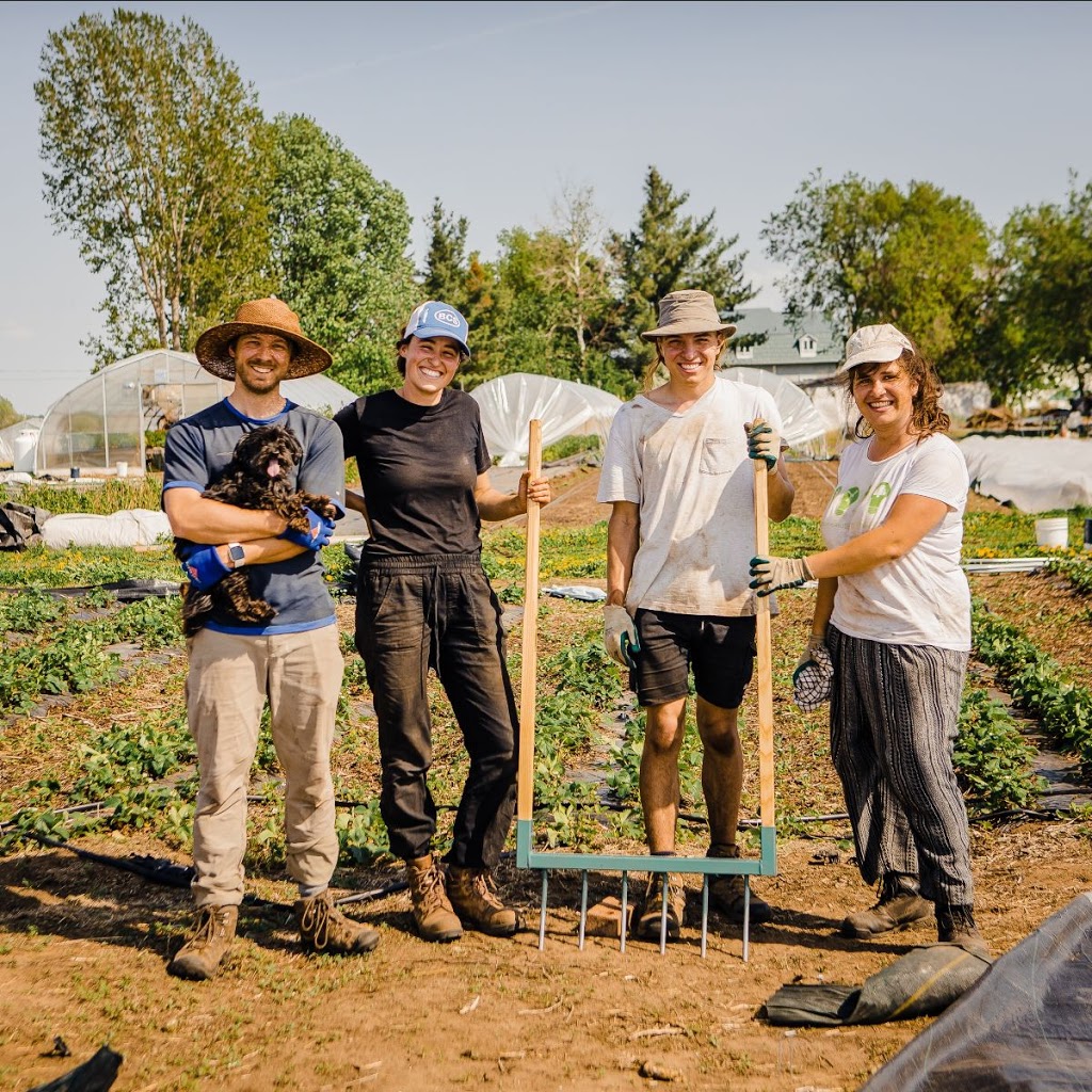 Les Hautes Herbes - Coop maraîchère | 681 Chemin Mazuret, Repentigny, QC J5Z 4C7, Canada | Phone: (438) 409-0399