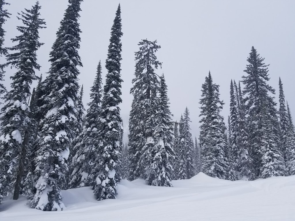 Boulder Cabin - Revelstoke Snowmobile Club | British Columbia V0E 2J0, Canada | Phone: (250) 837-3325