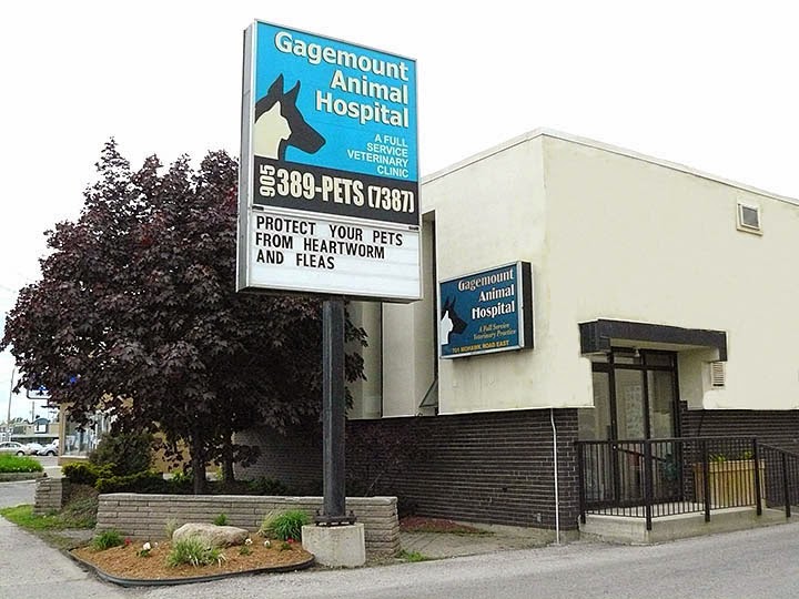 Gagemount Animal Hospital | 701 Mohawk Rd E, Hamilton, ON L8T 2P7, Canada | Phone: (905) 389-7387