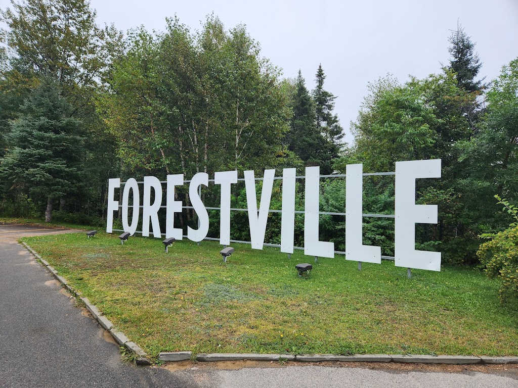 Bureau daccueil touristique de Forestville | 223 QC-138, Forestville, QC G0T 1E0, Canada | Phone: (418) 587-4160