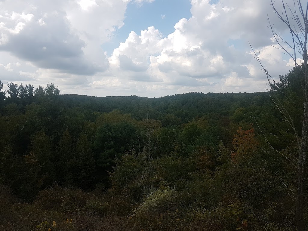 Glen Major Forest Trail - Lookout | Uxbridge, ON L0C, Canada