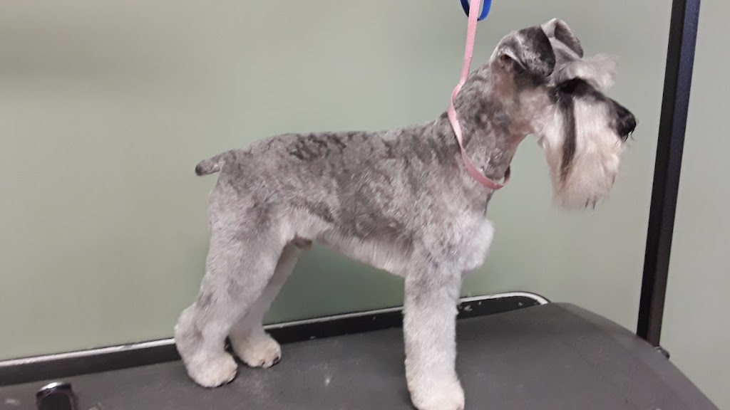 Dog Grooming By Cherie | 1824 Alberni Hwy, Coombs, BC V0R 1M0, Canada | Phone: (250) 702-8707