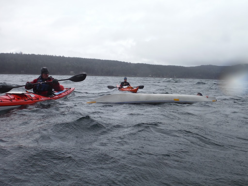 Coastal Current Adventures | 118 Natalie Ln, Salt Spring Island, BC V8K 2C6, Canada | Phone: (250) 537-2571