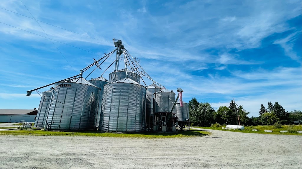 Céréales Normandin inc. | 1001 Rang N, Normandin, QC G8M 4P3, Canada | Phone: (888) 515-8482