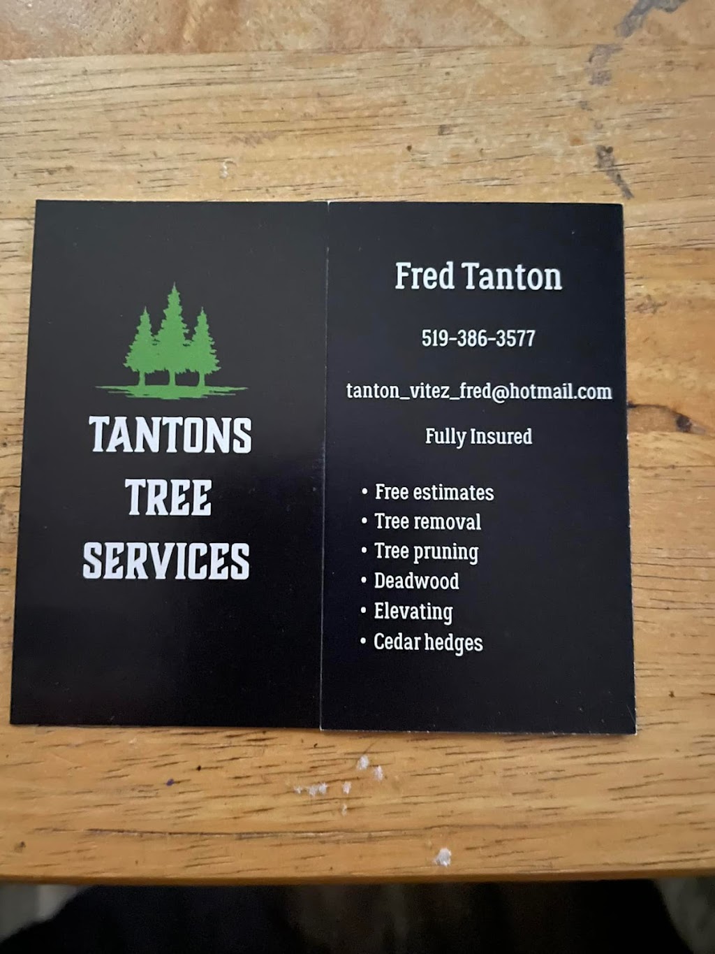 Tantons Tree Services | 96 Brook St, Tara, ON N0H 2N0, Canada | Phone: (519) 386-3577