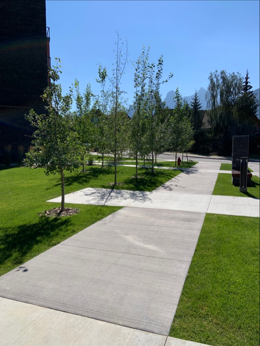 Guenthers Landscaping Ltd | 102 Owl St, Banff, AB T1L 1A7, Canada | Phone: (403) 762-3833