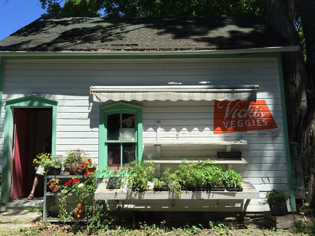 Vickis Veggies | 81 Morrison Point Rd, Milford, ON K0K 2P0, Canada | Phone: (613) 476-7241