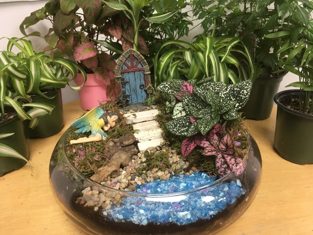 The Fairy Hut | 4039 Brentwood Rd NW, Calgary, AB T2L 1L1, Canada | Phone: (403) 813-1585