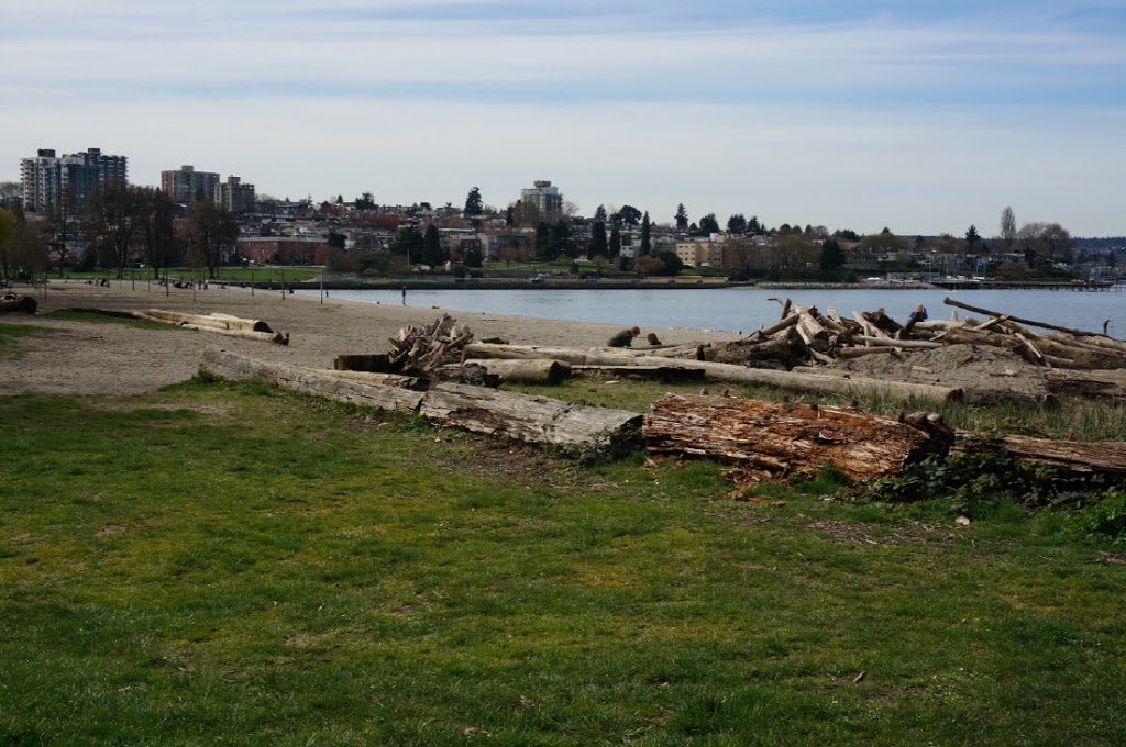 Vancouver Water Adventures | Kitsilano Beach Public Tennis Courts, Arbutus St, Vancouver, BC V6J 5N2, Canada | Phone: (604) 736-5155