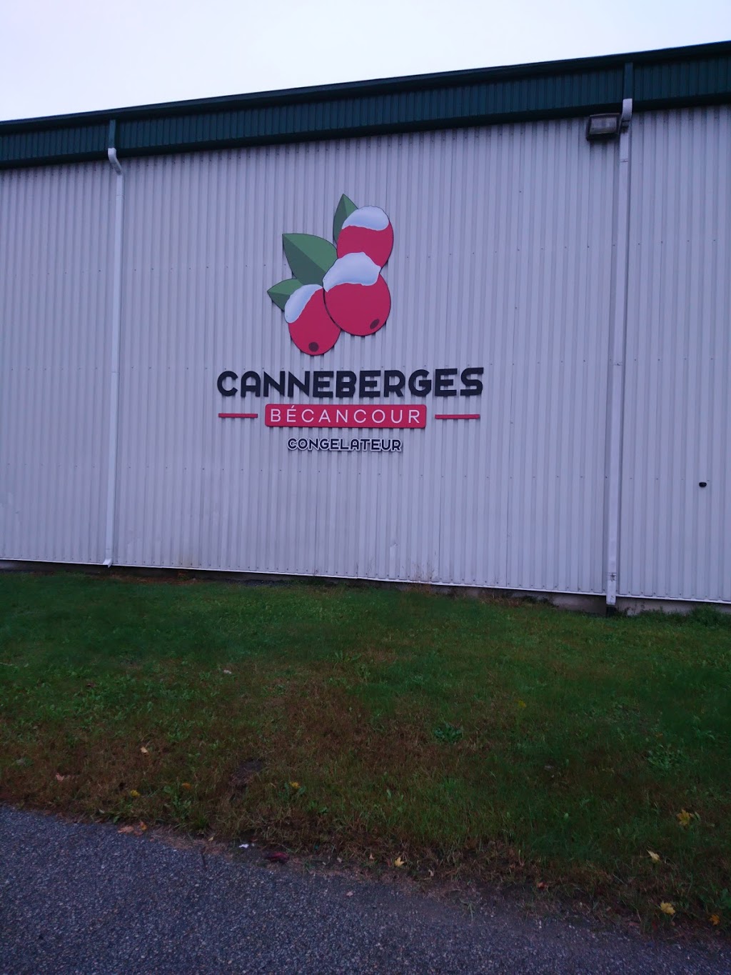 Canneberges Becancourt Sales | 2700 Av Vallée, Plessisville, QC G6L 3N2, Canada | Phone: (819) 621-1331