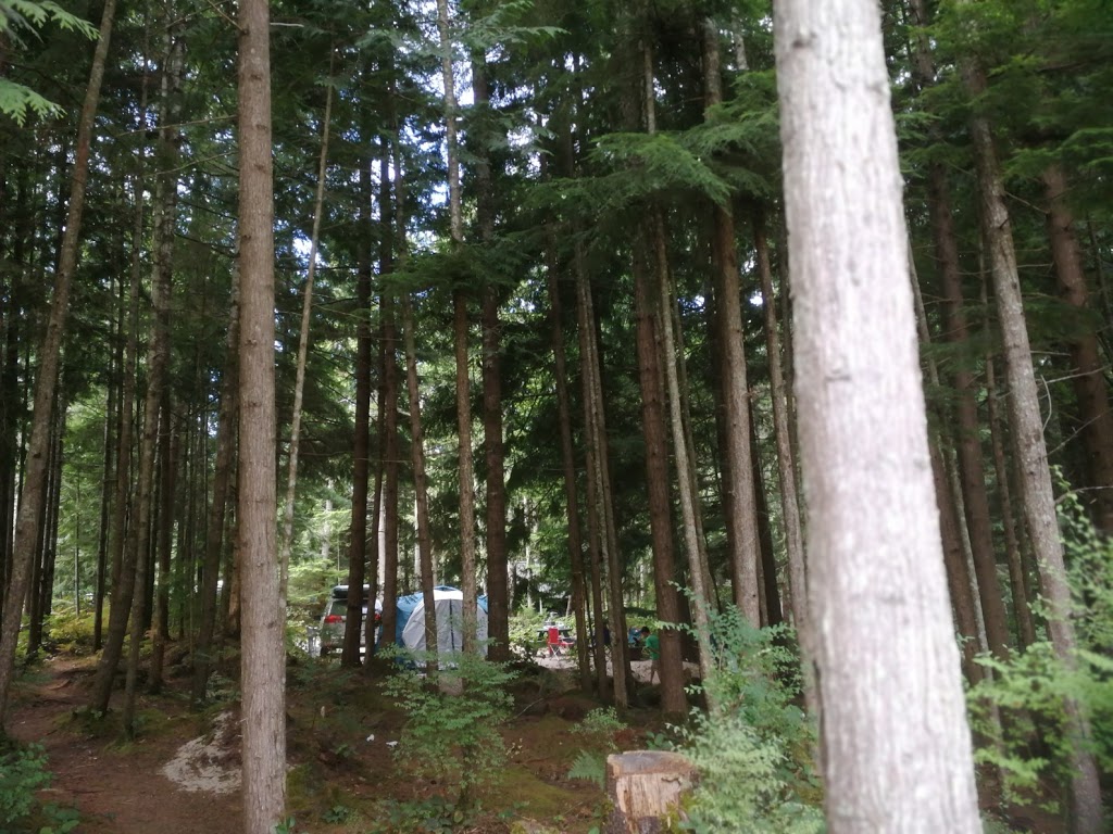Bayside Campground & RV Park | 6040 Sechelt Inlet Rd, Sechelt, BC V0N 3A3, Canada | Phone: (604) 885-7444