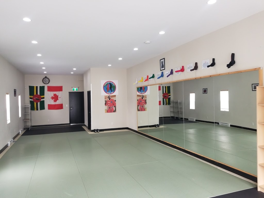 Robin Ryu Jiu Jitsu | 7709 6th St, Burnaby, BC V3N 3M9, Canada | Phone: (236) 982-7798