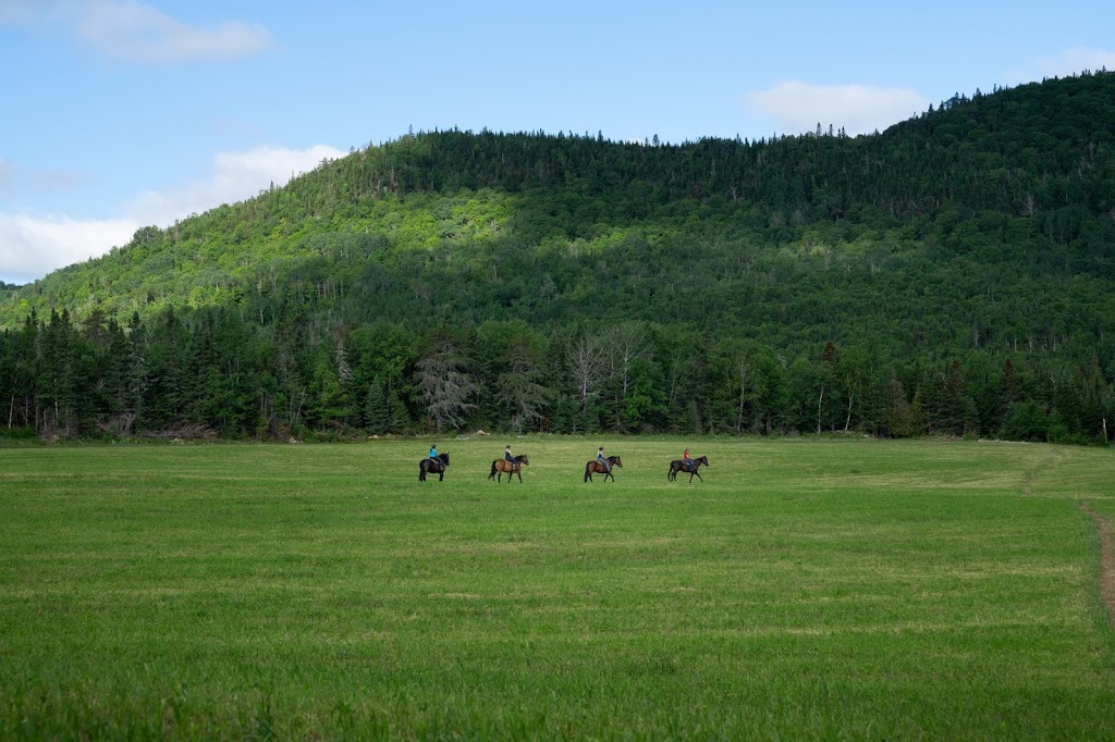 Les Écuries Entre Monts Et Marées | 645 Rang Saint Antoine, Saint-Irénée, QC G0T 1V0, Canada | Phone: (418) 452-3261