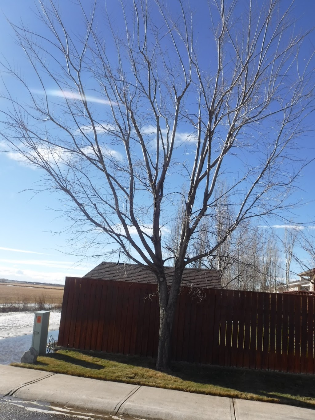 Twig & Owl Tree Care Ltd. | Box 1061, Picture Butte, AB T0K 1V0, Canada | Phone: (403) 715-3341