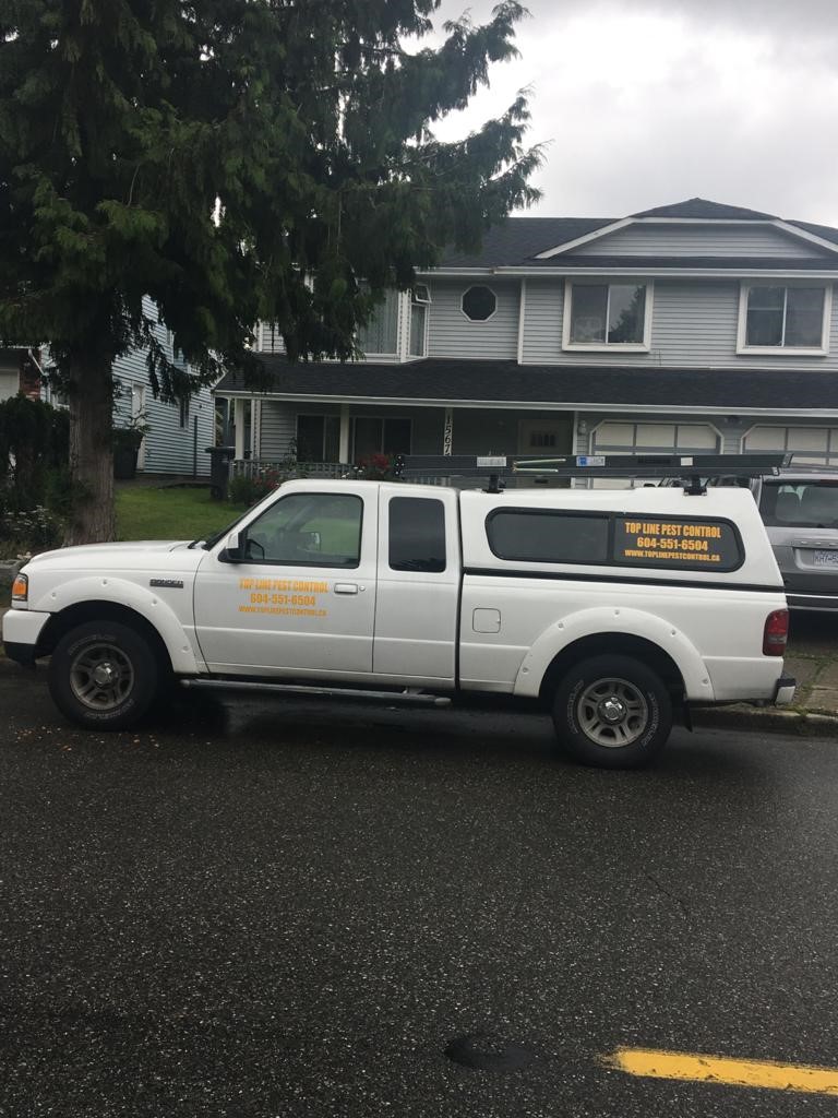 Top Line pest control- Maple ridge. | 21960 River Rd #24, Maple Ridge, BC V2X 2C3, Canada | Phone: (604) 551-6504