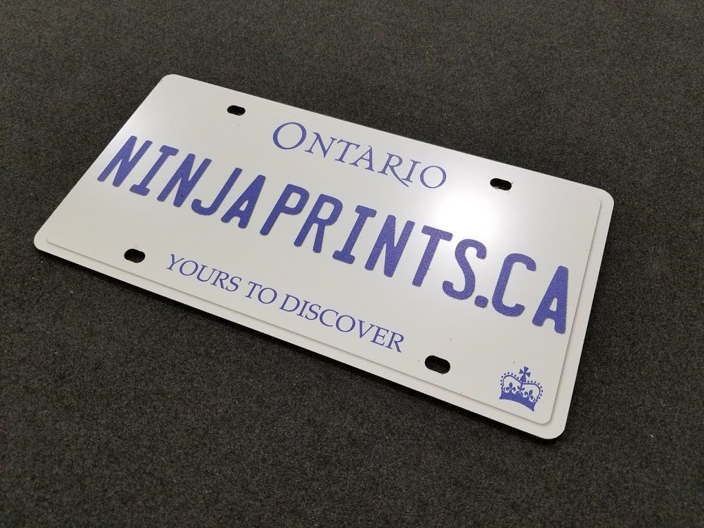 Ninja Prints | 1-1145 Nicholson Rd, Newmarket, ON L3Y 9C3, Canada | Phone: (416) 663-5300