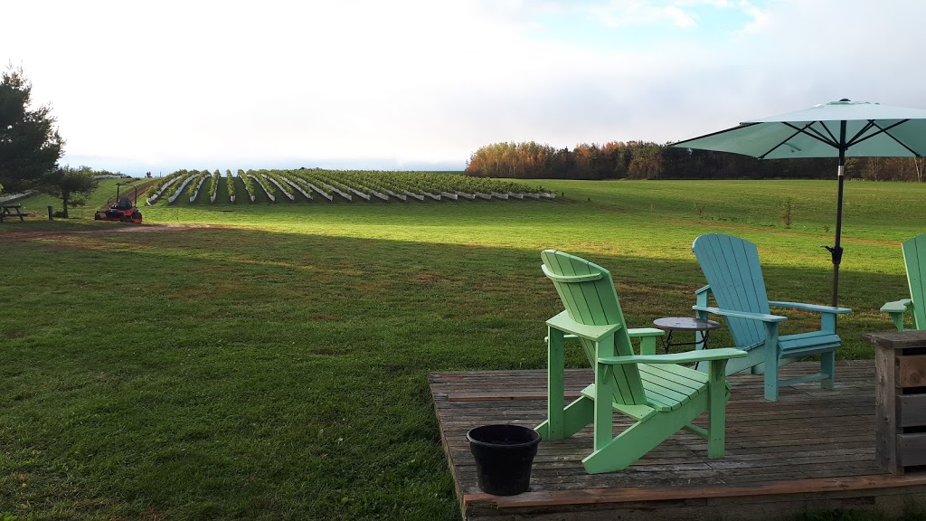 Raven Hill Vineyards | 11140 Nova Scotia Trunk 1, Wolfville, NS B4P 2R1, Canada | Phone: (902) 690-5619