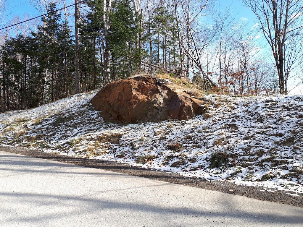 Extermination Des Monts | 668 Chemin des Bouleaux, Saint-Sauveur, QC J0R 1K0, Canada | Phone: (450) 227-0997