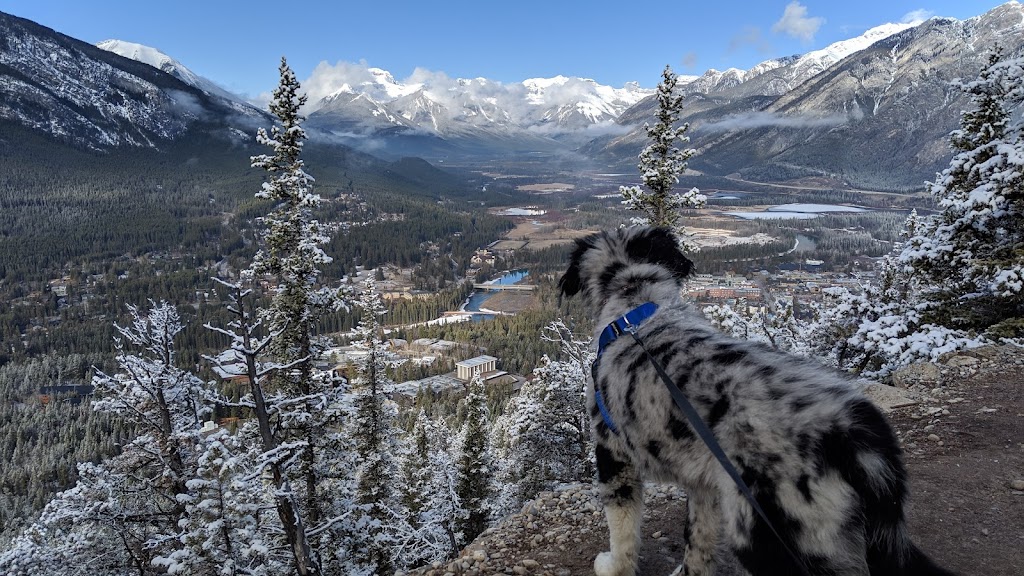 Tunnel Mountain Trail Route | Tunnel Mountain Trail, Improvement District No. 9, AB T0L 0C0, Canada | Phone: (888) 773-8888