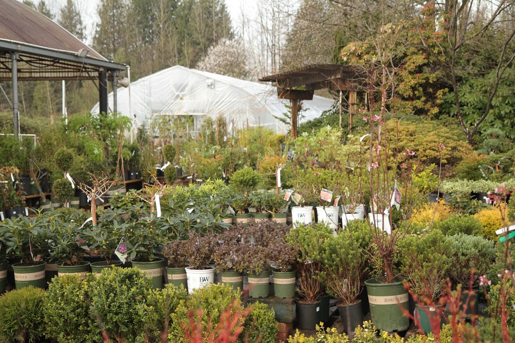 Homestead Nurseryland & Florist | 31888 Marshall Rd, Abbotsford, BC V2T 5Z9, Canada | Phone: (604) 854-6601