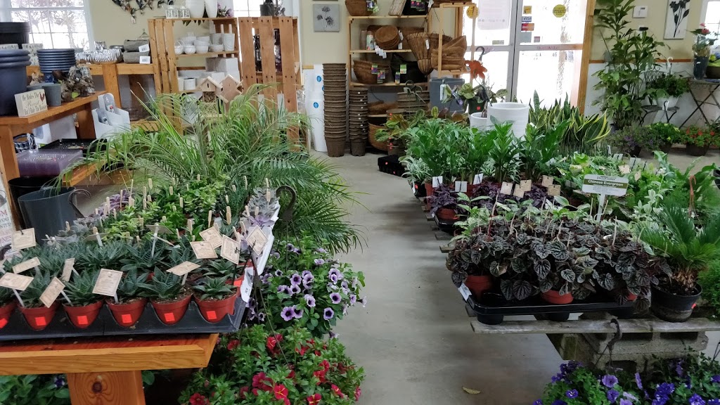 Springbank Garden Centre | 462 Springbank Dr, London, ON N6J 1G8, Canada | Phone: (519) 455-9327