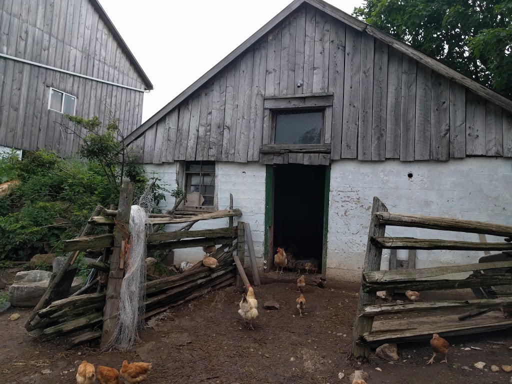 Eigensinn Farm | 449357 10th Concession, Singhampton, ON N0C 1M0, Canada | Phone: (519) 922-3128