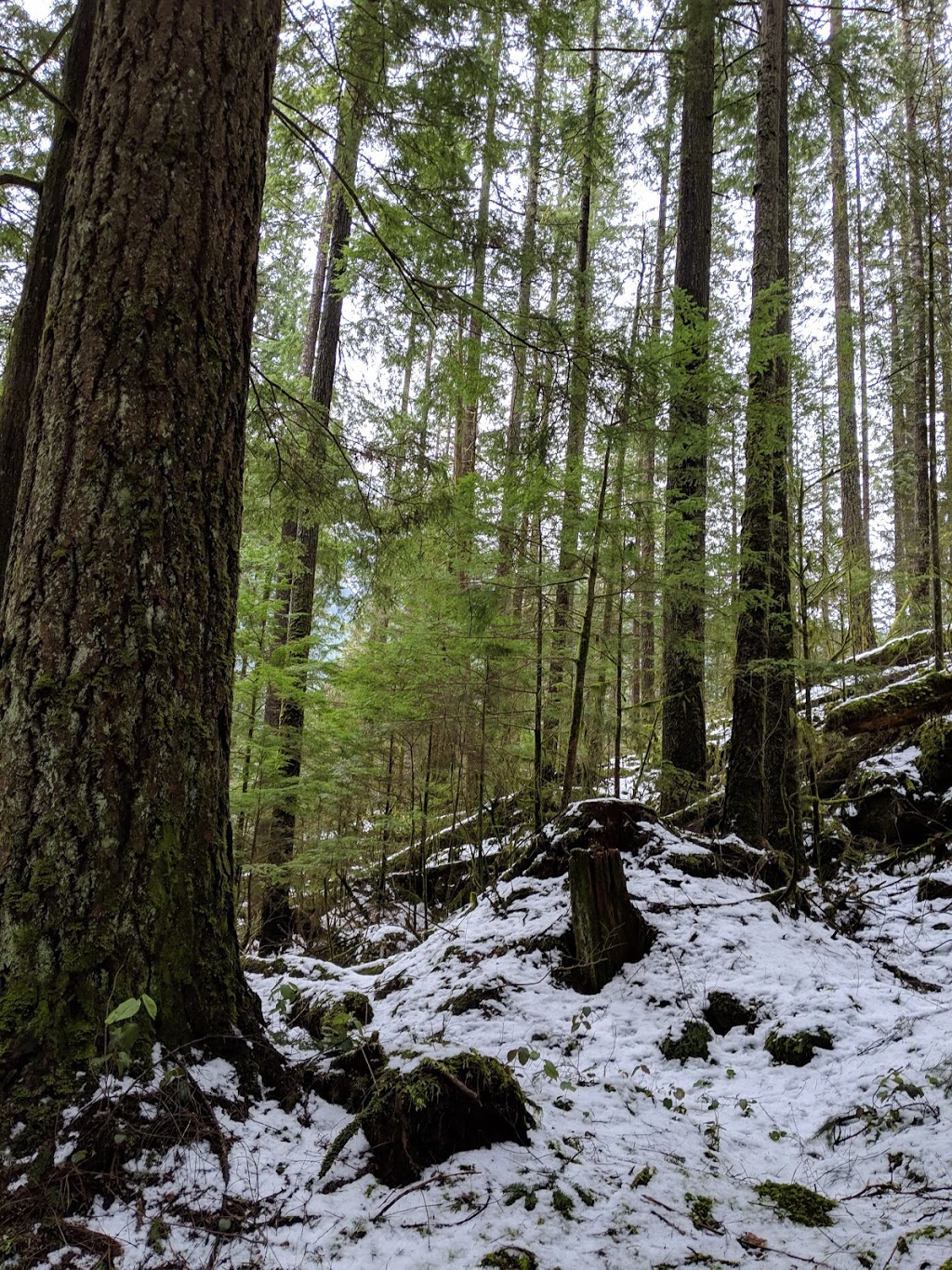 Buntzen Lake Trail | Buntzen Lake Trail, Anmore, BC V3H 4Z4, Canada | Phone: (604) 469-9679