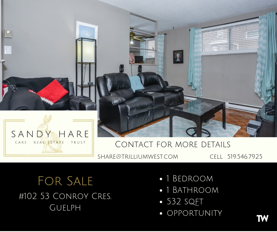 Sandy Hare -Real Estate Sales Representative | 292 Stone Rd W, Guelph, ON N1G 3C4, Canada | Phone: (519) 546-7925