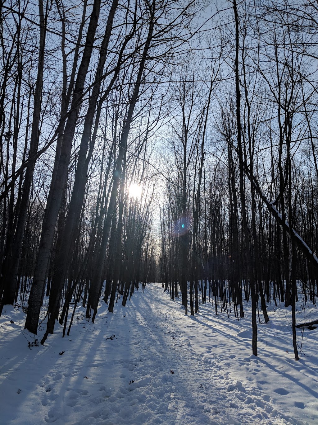 Bois de la Source | 1130 18e Av, Laval, QC H7R 4P6, Canada