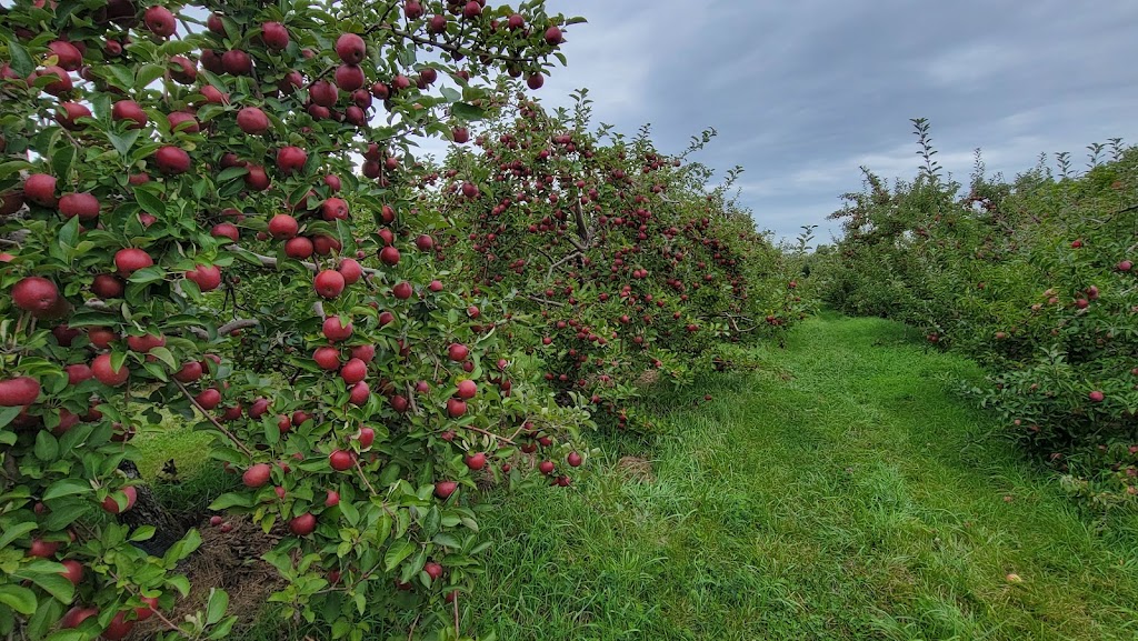 Ferme Marceau | 865 Chem. Fresnière, Saint-Eustache, QC J7R 0G3, Canada | Phone: (450) 473-0880