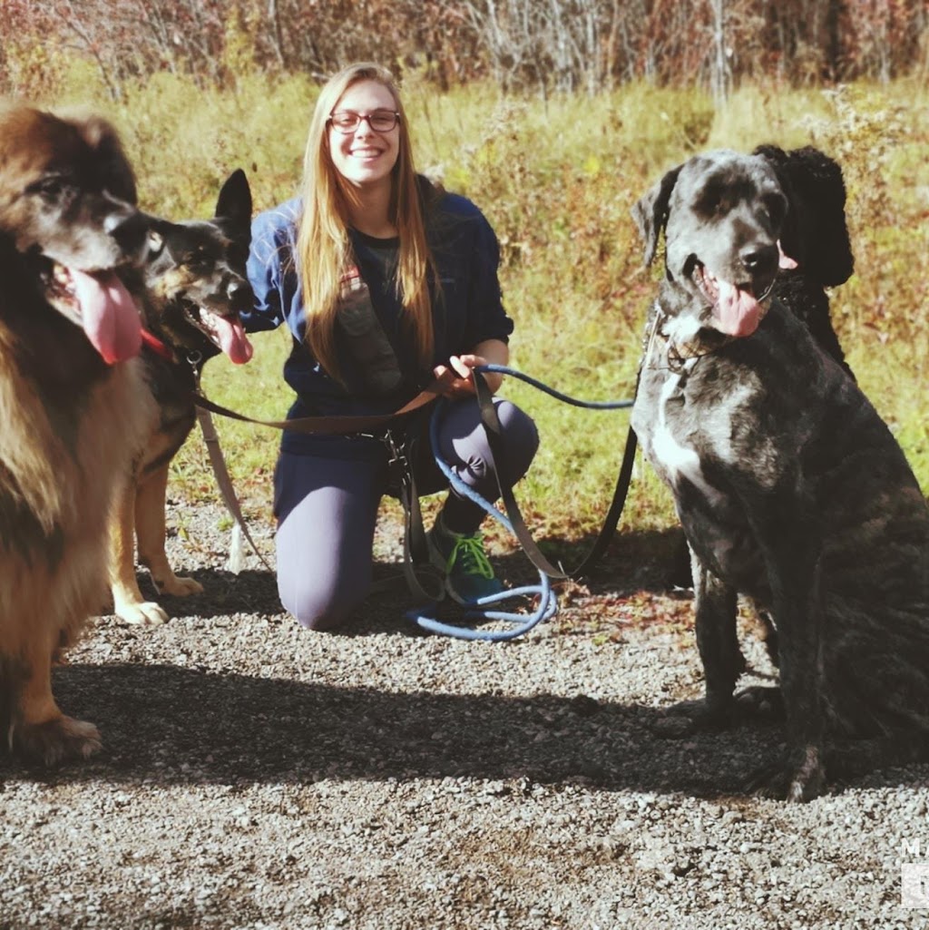 Cold Creek Dog Training Canada | 555 Rankin Crescent, Kingston, ON K7M 7K6, Canada | Phone: (613) 214-0217