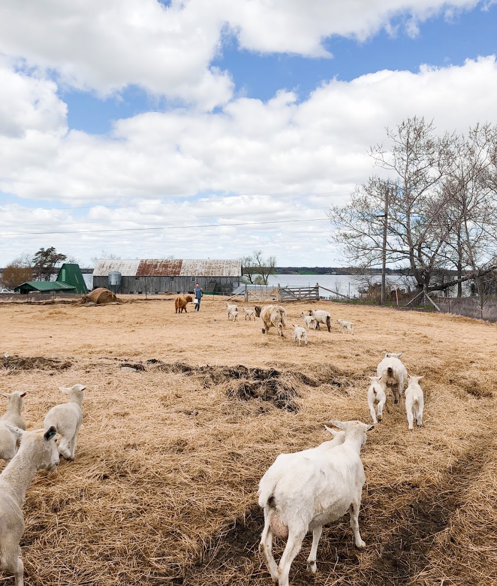 Topsy Farms | 14775 Front Rd, Stella, ON K0H 2S0, Canada | Phone: (613) 389-3444