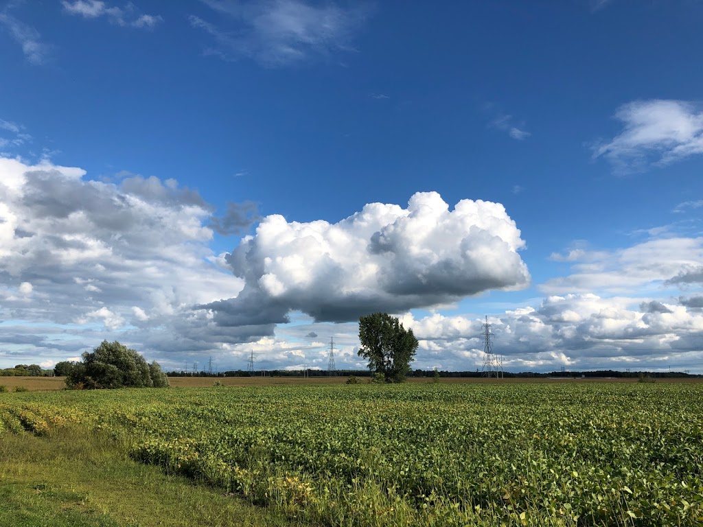 Ferme Ridel | 114 Rang de la Grande Barbue, Saint-Césaire, QC J0L 1T0, Canada | Phone: (450) 210-0907