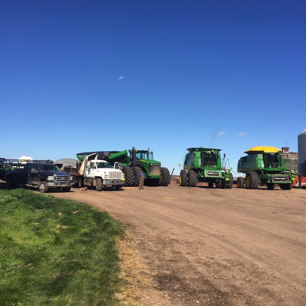 Allison Farms Harvesting | 22568 TWP 384, Delburne, AB T0M 0V0, Canada | Phone: (403) 585-2097