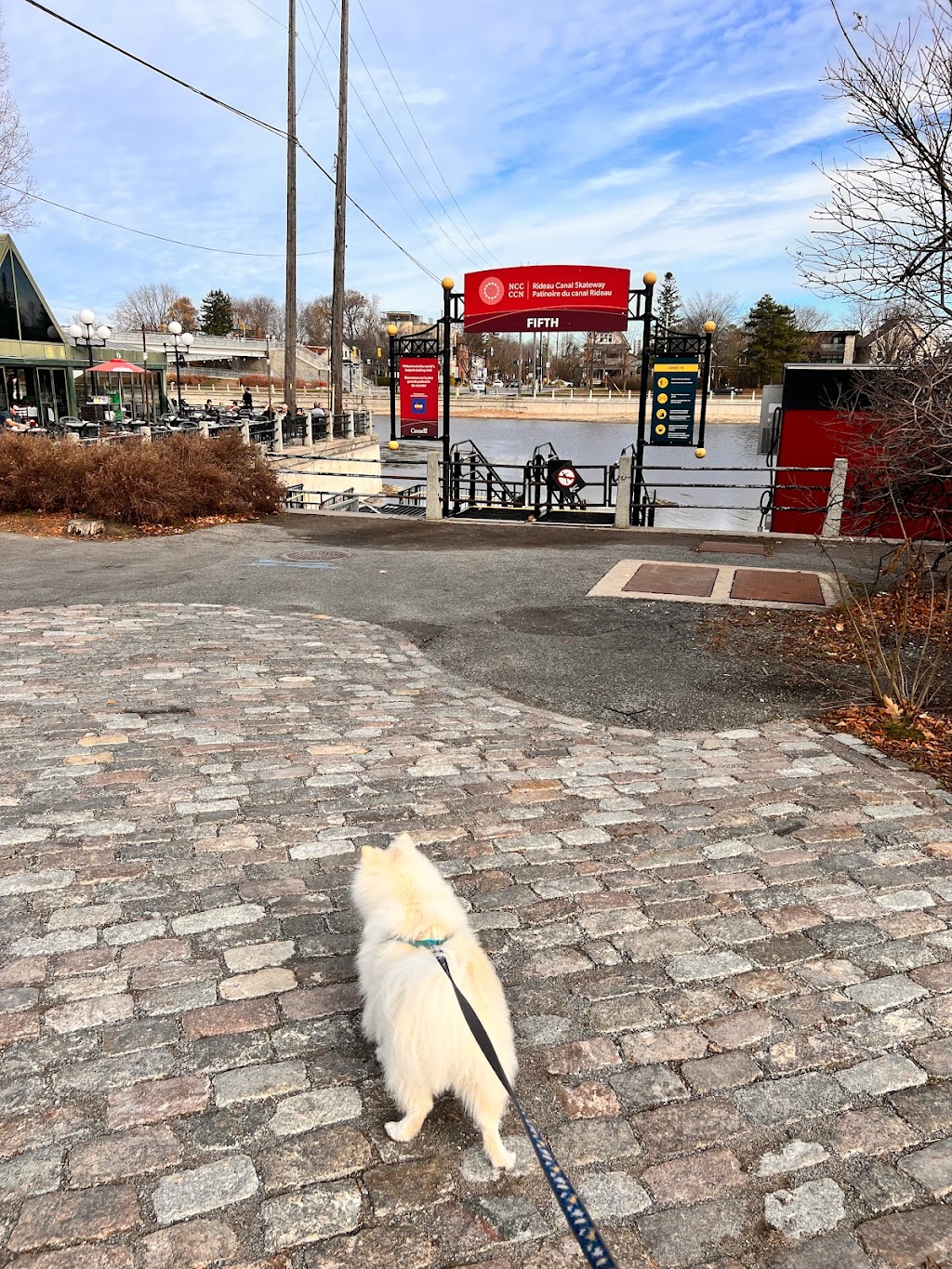 Rideau Canal Skating Tours | Ottawa, ON K1S 0Y1, Canada | Phone: (613) 619-6346