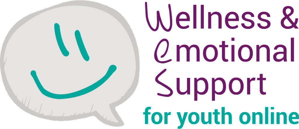 Wellness and Emotional Support (WES) for Youth Online | 4 Park St, Walkerton, ON N0G 2V0, Canada | Phone: (519) 507-3737