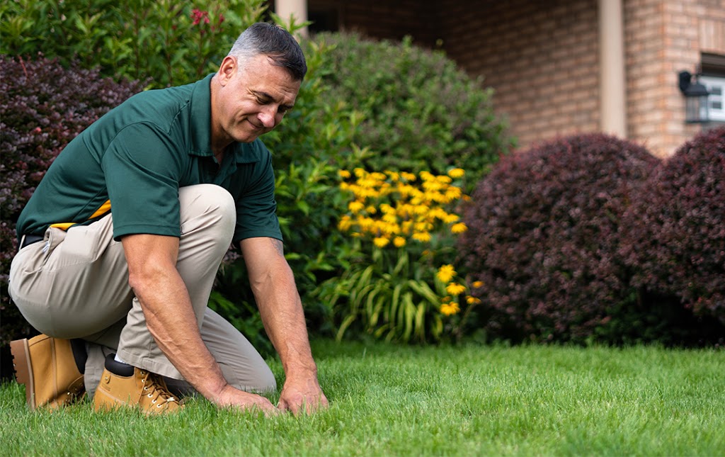 Weed Man Lawn Care | 805 Ontario St S, Sarnia, ON N7T 7T1, Canada | Phone: (519) 336-4221