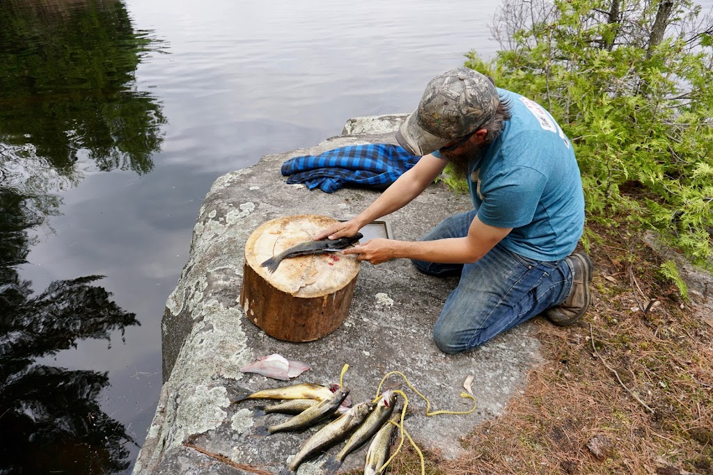 Marten River Lodge | 36 Marten River Rd, Marten River, ON P0H 1T0, Canada | Phone: (705) 892-2351