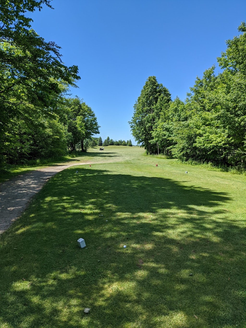 Camlachie Golf & Country Club | 4331 Egremont Rd, Camlachie, ON N0N 1E0, Canada | Phone: (519) 899-4495