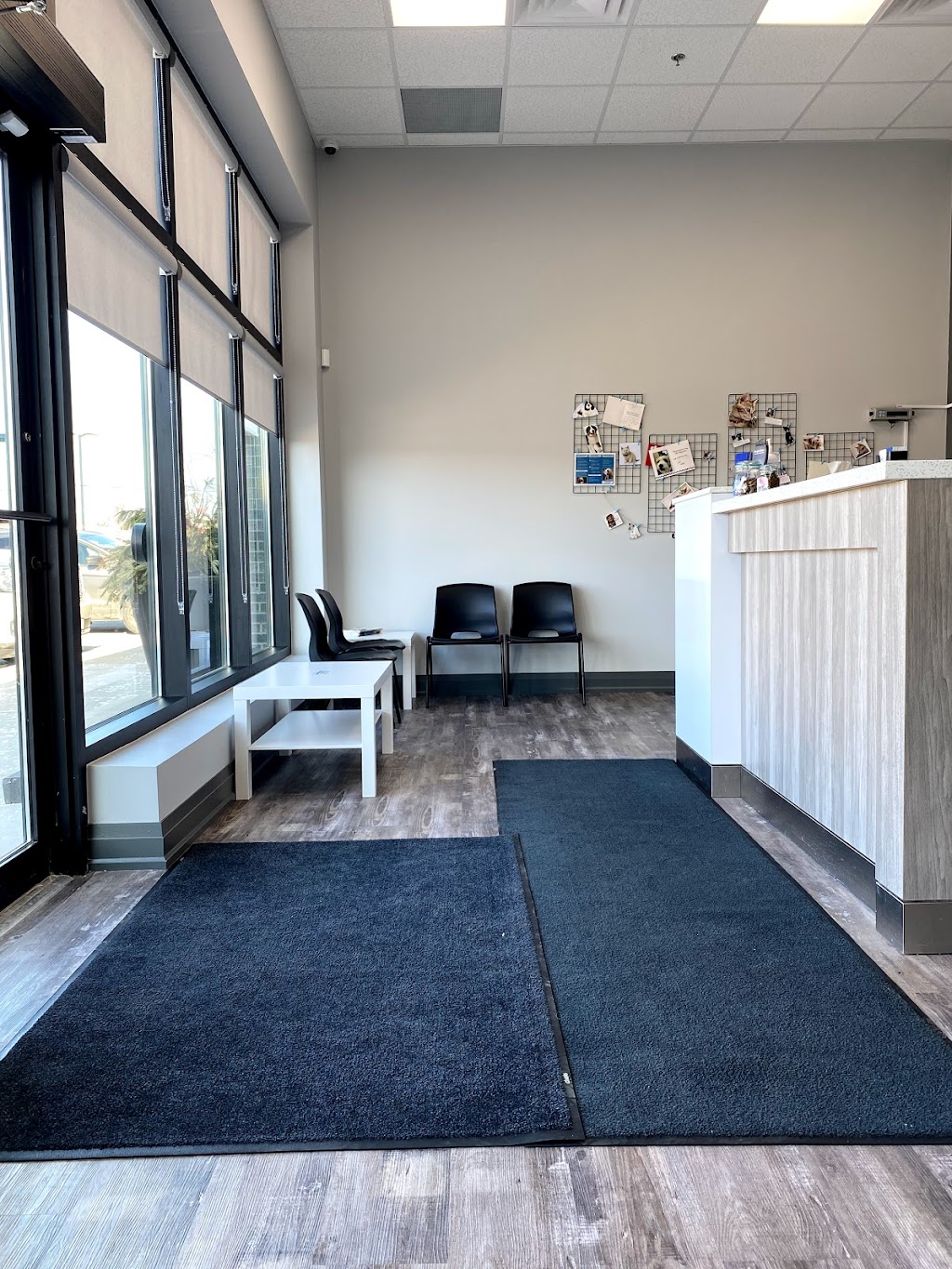 Vista Park Animal Hospital | 5779 Main St Unit 7, Whitchurch-Stouffville, ON L4A 4R2, Canada | Phone: (905) 640-0400