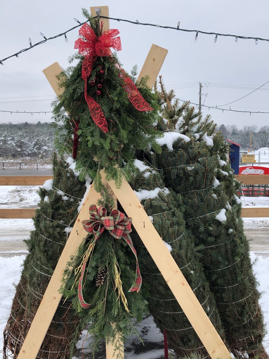 Captains Grill Christmas Tree Store | 7797 ON-11, Severn, ON L3V 0Z8, Canada | Phone: (705) 955-4745